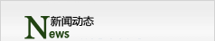 新(xin)聞動(dòng)态